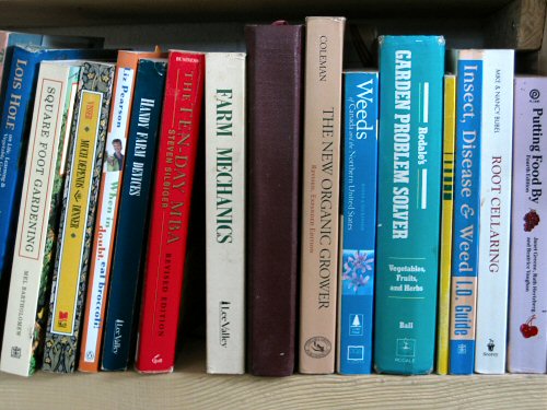 The bookshelf