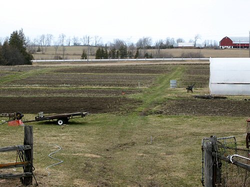 Field in mid-April