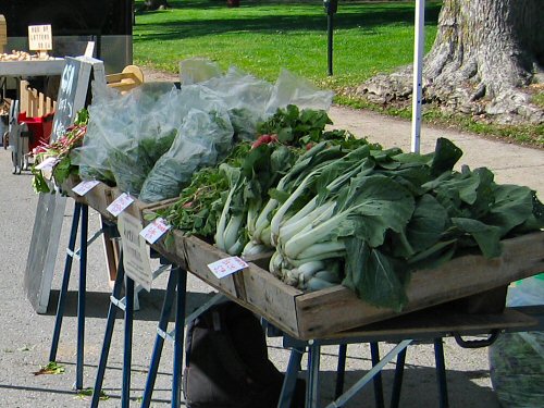 Early June at the farmersâ€™ market