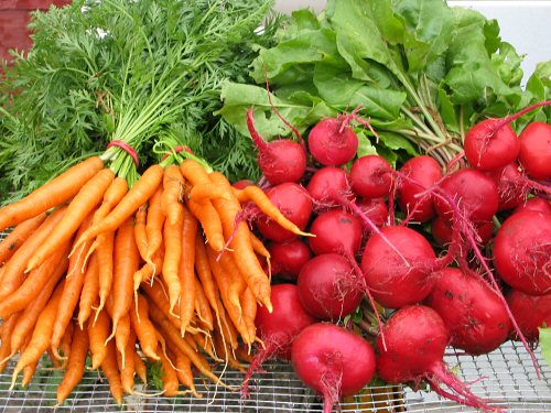 First carrots plus beets