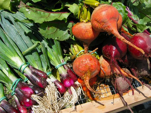 Red onions, golden beets