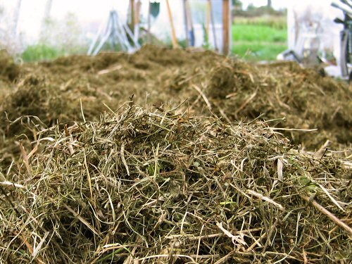 Grass and alfalfa mulch