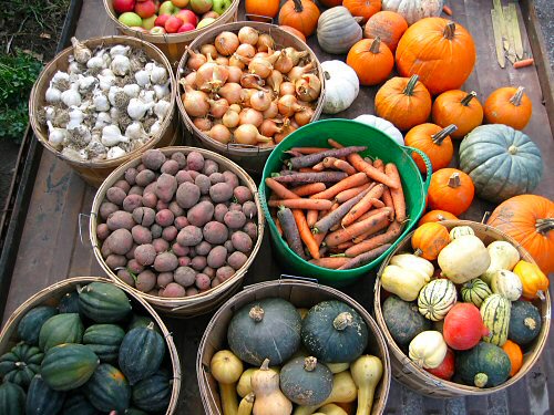 Veggies for storage