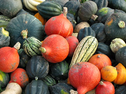 Assorted winter squash