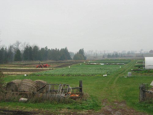 Field in mid-November
