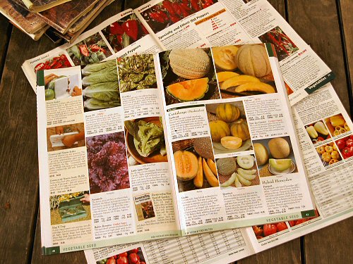 Seed catalogs