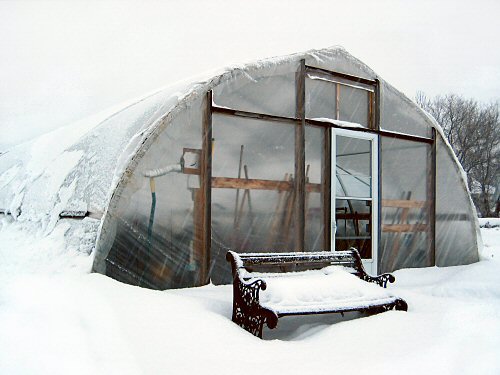 Snow watch: checking the greenhouse