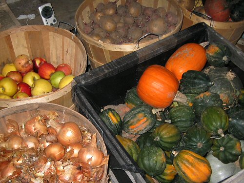 Checking on the storage veggies