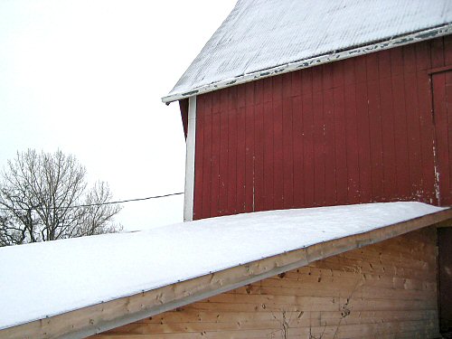Barn roof and Milkhouse roof