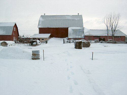 The Barn on Jan 1, 2008