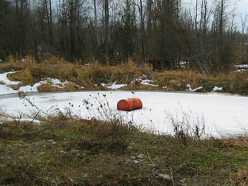 Slightly frozen pond