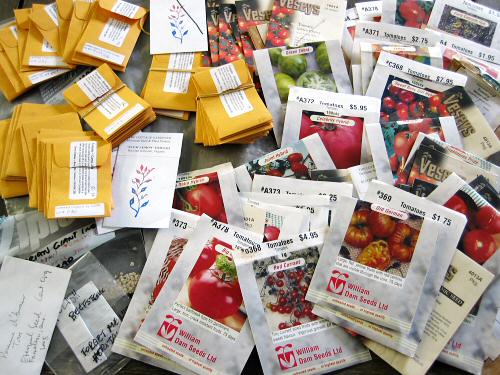 Tomato seed collection
