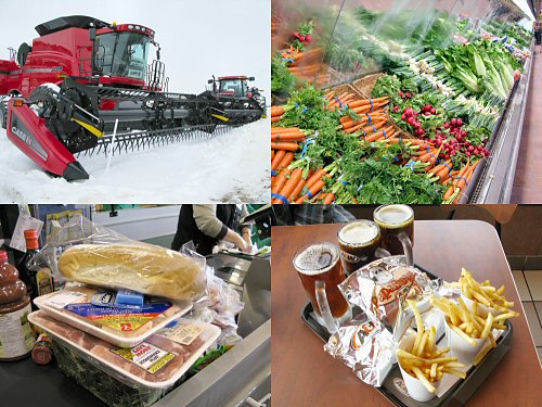 Food chain:combine, supermarket, fast food