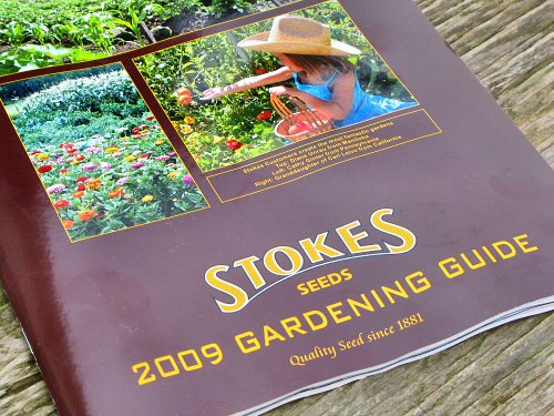 First seed catalog of the season