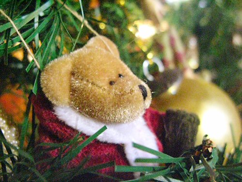 Christmas tree bear ornament