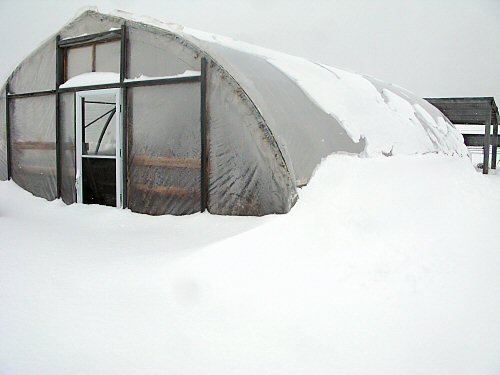 Snowbound greenhouse
