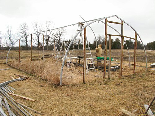 Dismantling the hoophouse: removing ribs