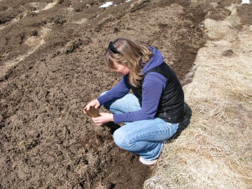 Andrea inspects newly tilled soil