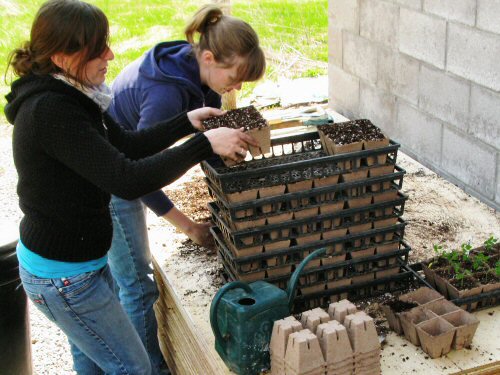 Filling peat pots