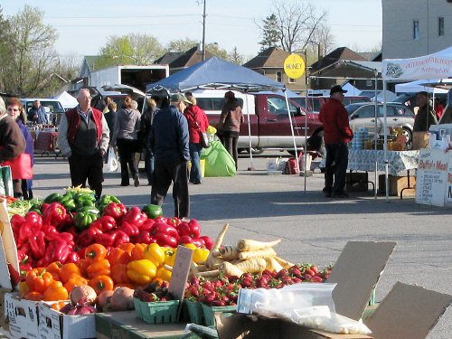 Summer farmers' market: Day 1