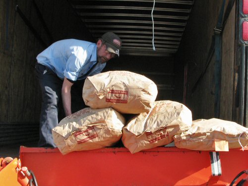 Unloading potatoes