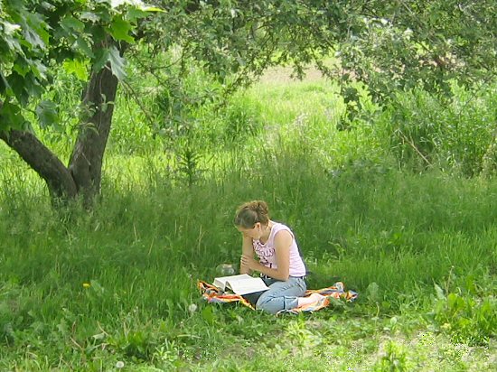 Reading in the shade of a tree
