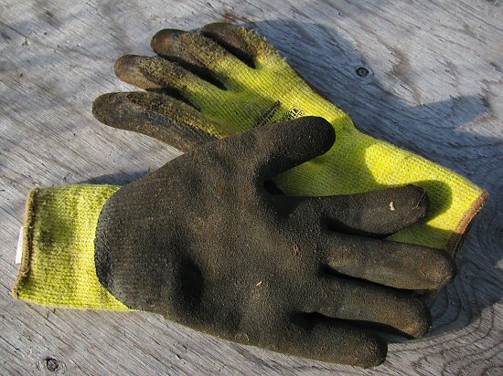 Good gloves for fall fieldwork