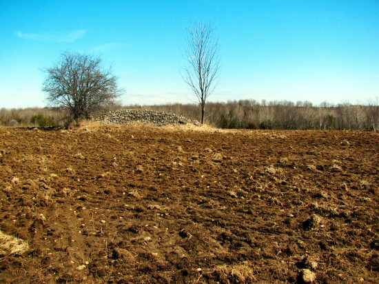 Fall-plowed field in late March