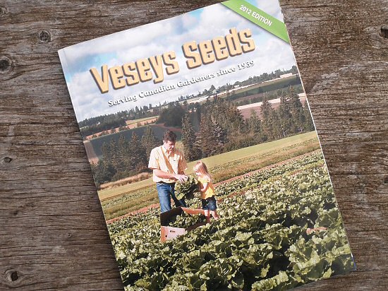 First seed catalog to arrive