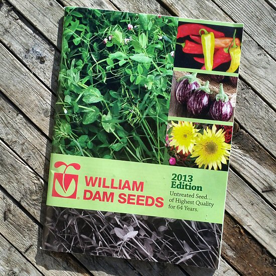Seed catalog 2013