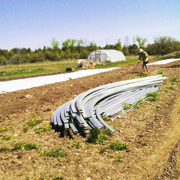 Bed preparation and hoophouse steel