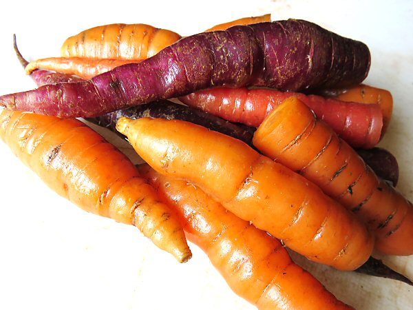 Assorted stored carrots