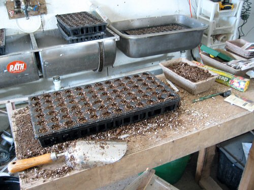 Seedling station