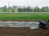 Working in the rain