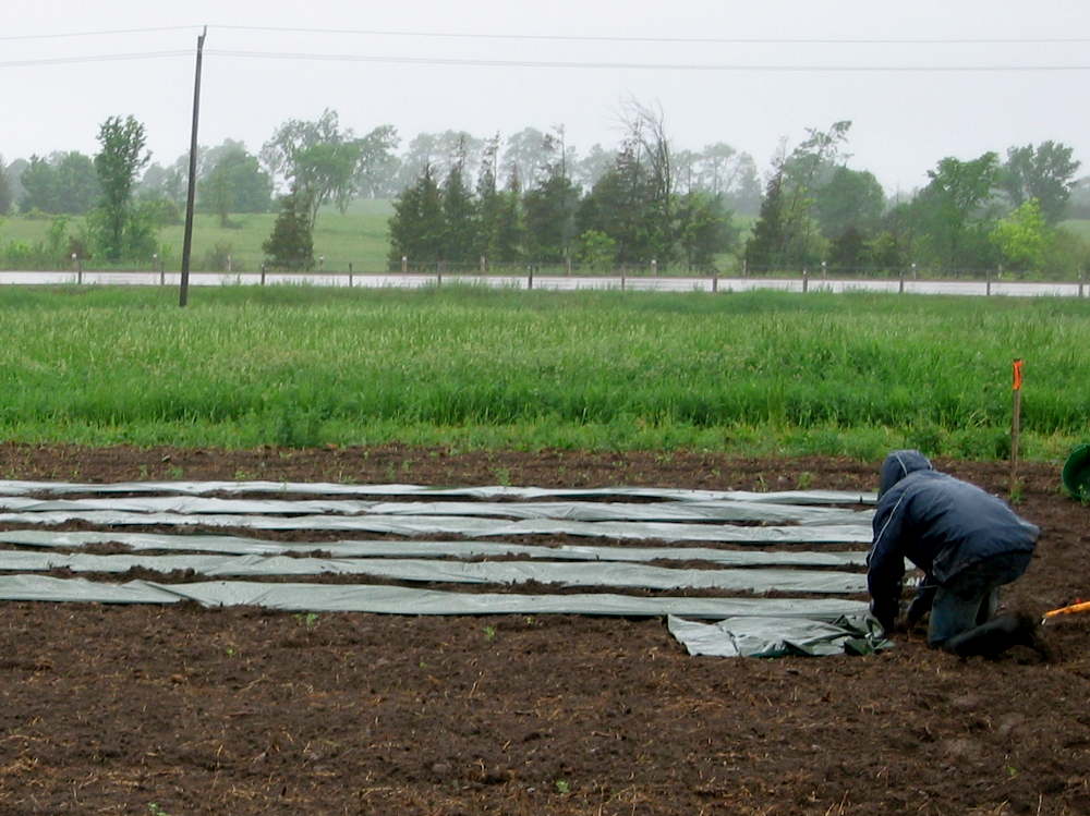 Working in the rain