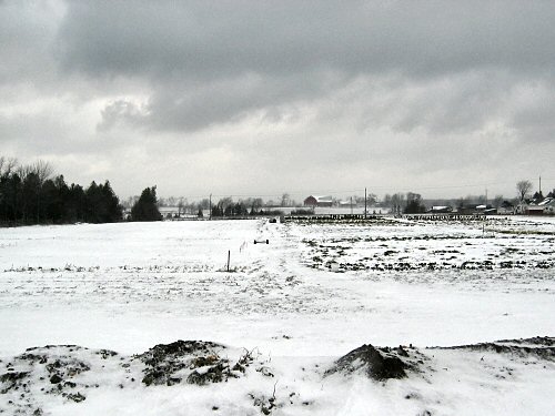 Snow-covered field means the garden season's over!