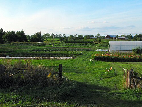 View of the field