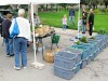 Farmers' market stand