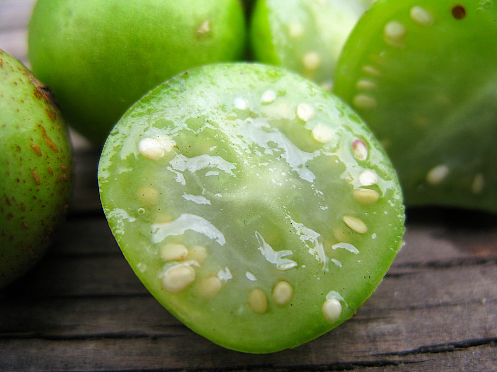 Inside the potato fruit
