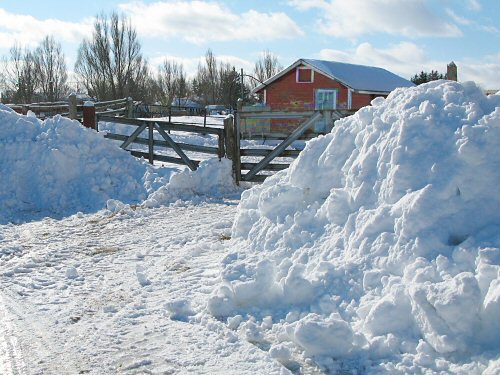 Snow banks