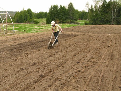 Seeding with the Planet Jr.