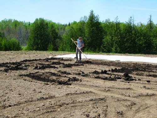 Spreading compost with a rake