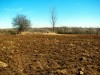 Fall-plowed field in late March