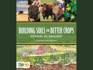 Building Soils For Better Crops - Tiny Farm Blog