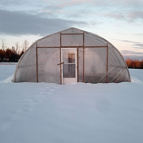 Greenhouse in snow, early March