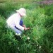 Tending the Riot Garden