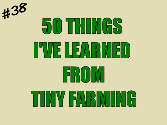 50 Things I've Leaned from Tiny Farming: #38