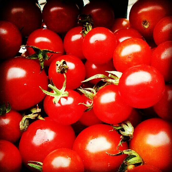 Volunteer cherry tomatoes