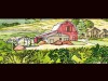 Building Soils for Better Crops
