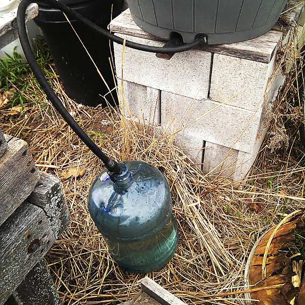 Taking water from a rain barrel